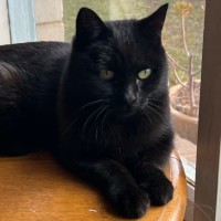 Photo of Slinky Malinki