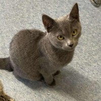 Photo of Forky   Located In Ashburton