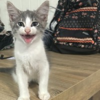 Photo of Wally