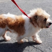 Photo of Hamish