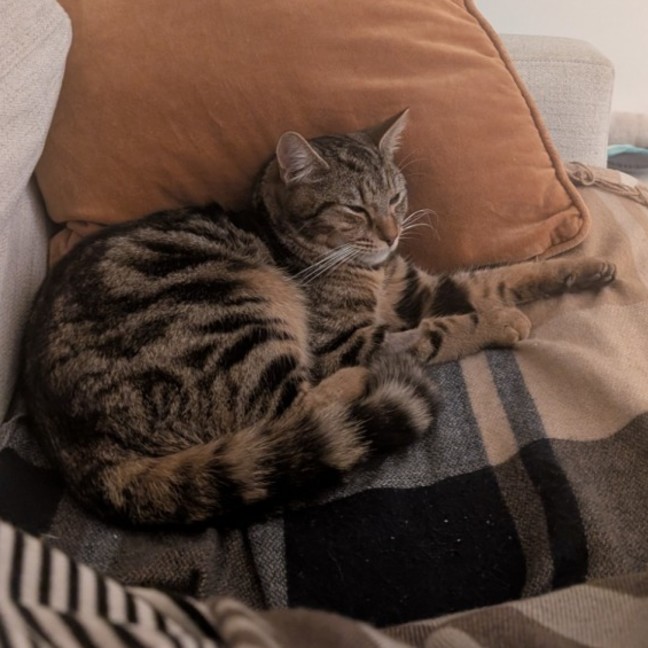 Photo of Linus 