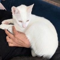 Photo of Ferdi 💙💙