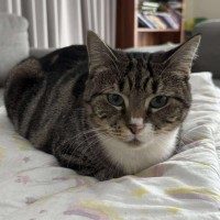Photo of Alice