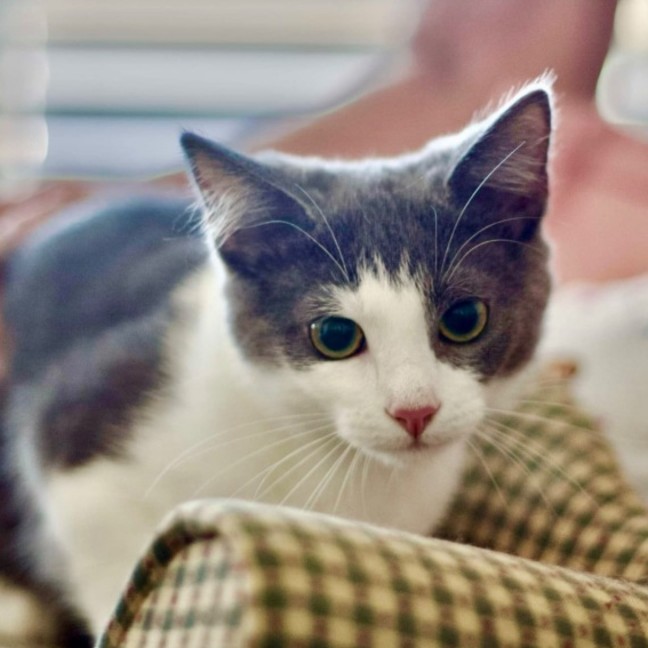 Photo of 💙 Denim 💙