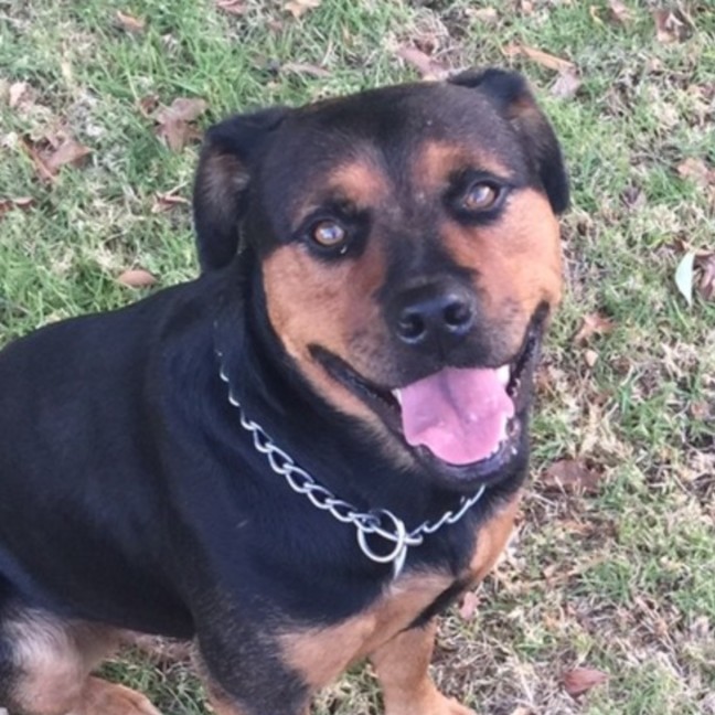 Photo of Ally And Lilly