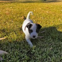 Photo of Maverick