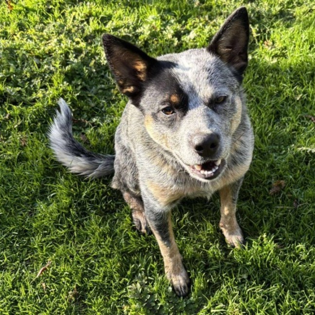 Photo of Hazel