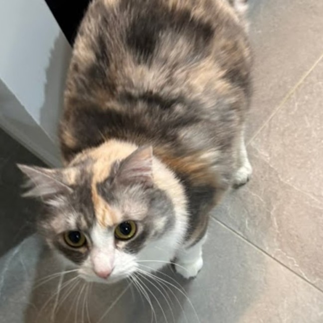 Photo of Evie
