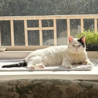 Photo of Horace & Blackie 