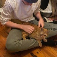 Photo of Ketchup