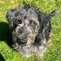 Photo of Bobby