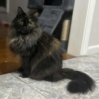 Photo of Mariska And Antoni ❣️❣️