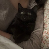 Photo of Liquorice Allsorts