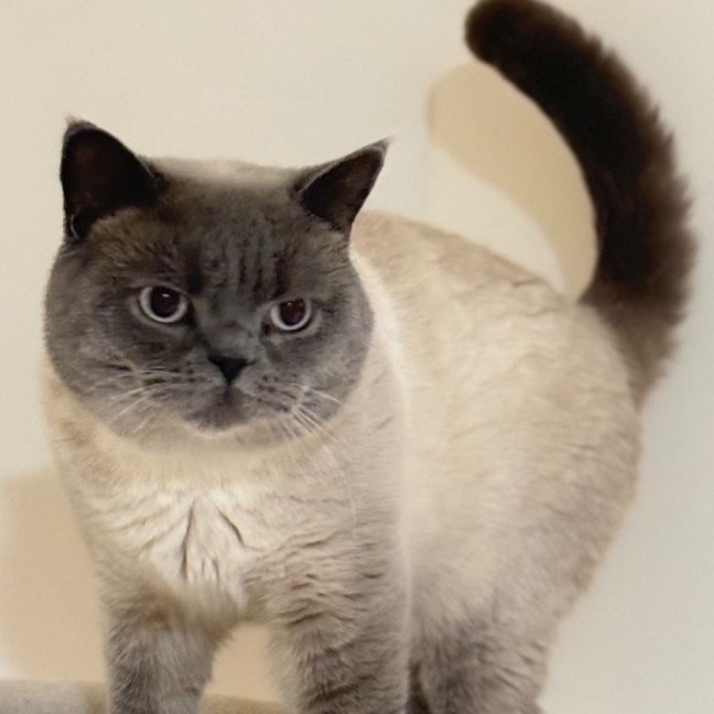 Photo of Sir Earl Grey