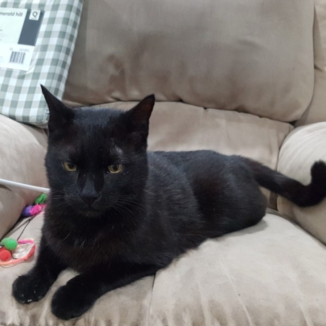 Photo of Tucker