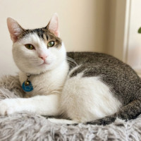 Photo of Frankie