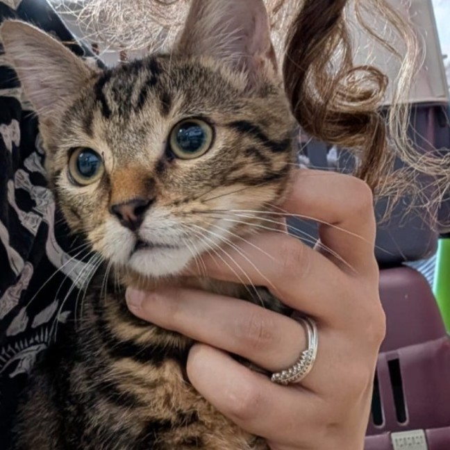Photo of Zeus