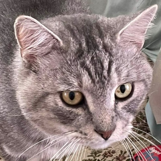 Photo of Finn 