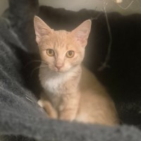 Photo of Ruby