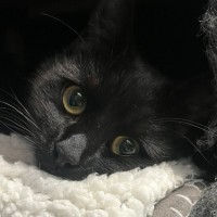 Photo of Hazel