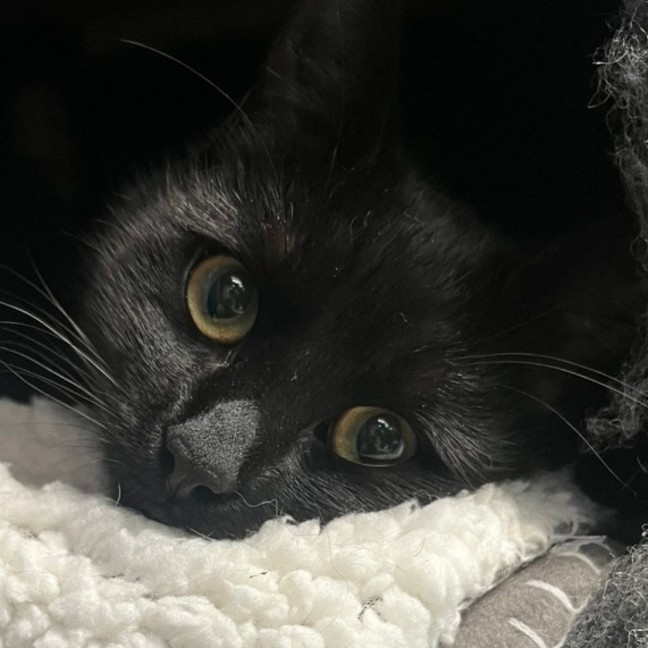 Photo of Hazel