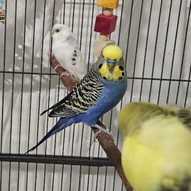 Photo of Ocean & Bebe