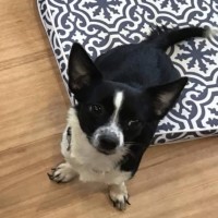 Photo of Dorothy