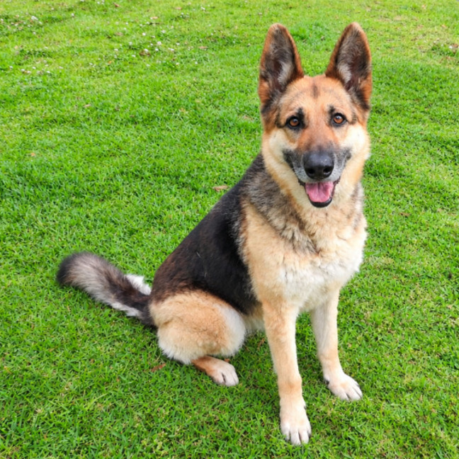 Photo of Maya