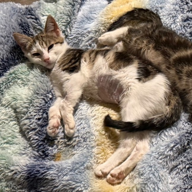 Photo of Jemima