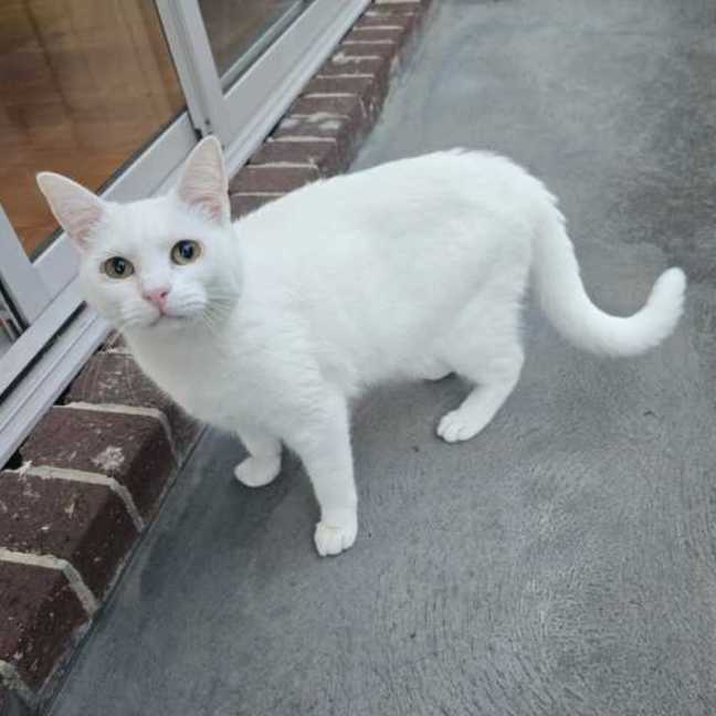 Photo of Maggie