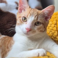 Photo of Jack
