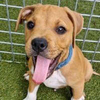 Photo of D1093 Finlay