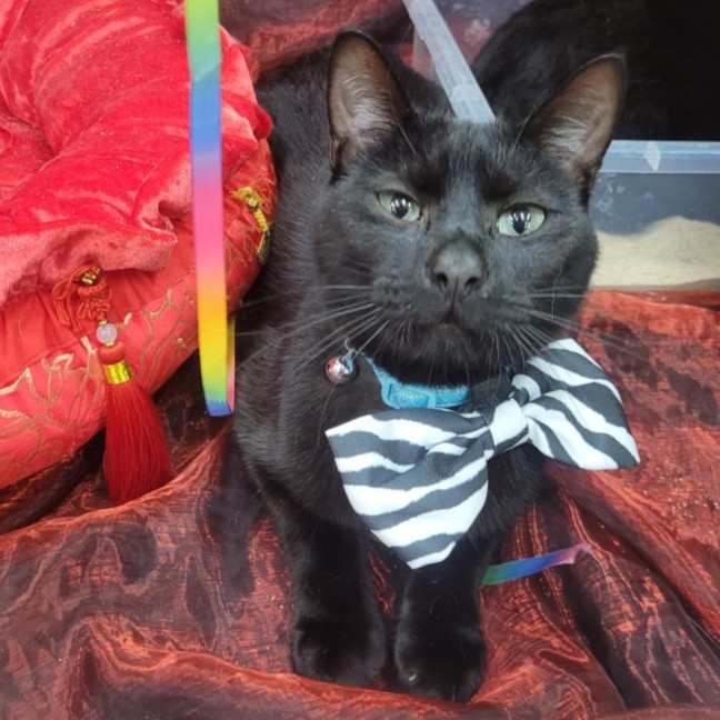 Photo of Salem 