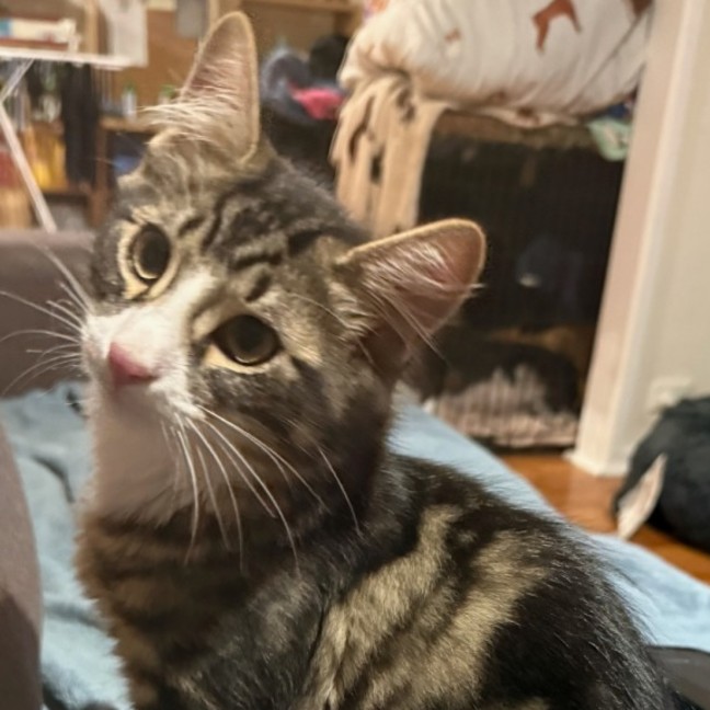 Photo of Lil Boy