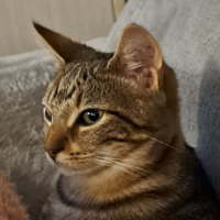 Photo of Ginge & Sprout