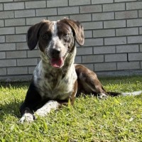 Photo of Hershey