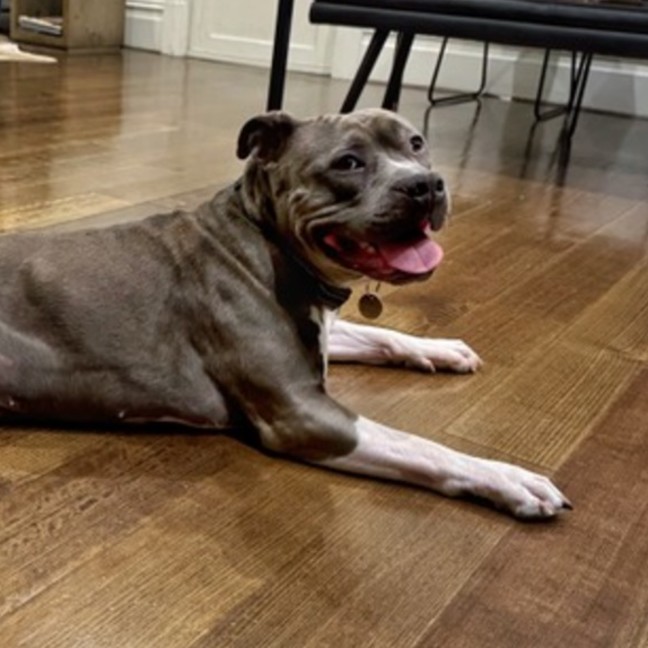 Photo of Gambit