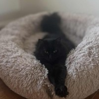 Photo of Mariska And Antoni ❣️❣️