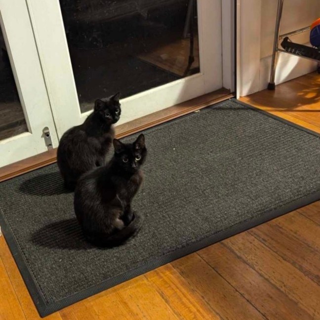 Photo of Thunder And Storm