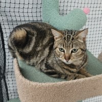 Photo of Heidi