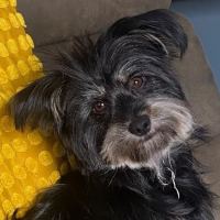 Photo of Junie Moon