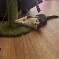 Photo of Jasper 💙