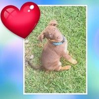 Photo of Humpty Dumpty