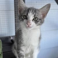 Photo of 💙 Benson 💙