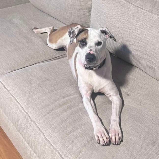 Photo of Penny