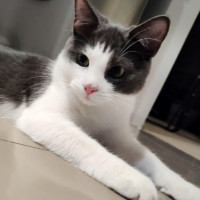 Photo of 💙 Denim 💙