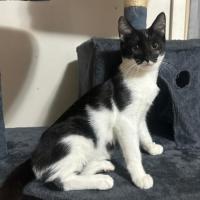 Photo of Maisy
