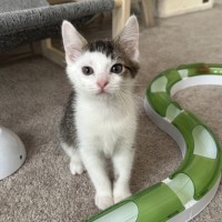 Photo of Bill