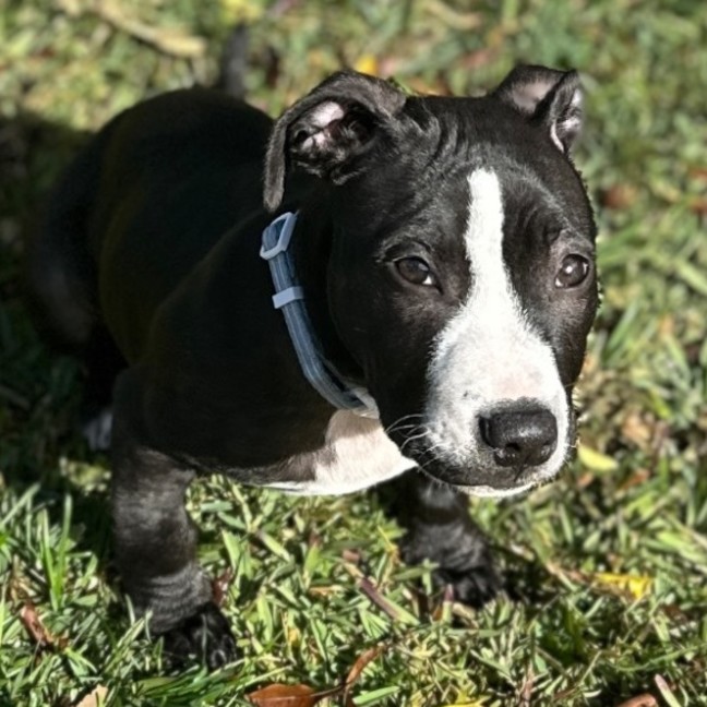 Photo of 🌼 Daisy 🌼 