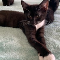 Photo of Zuko
